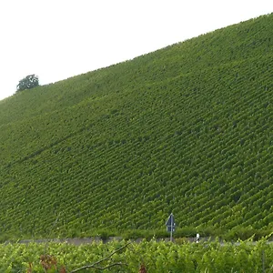 https://ehemalige-rosengartnerei.com-bavaria.com